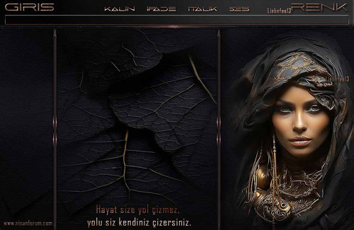 Bayan Radyo Tema 319 liebefee13