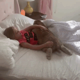 e8f9e00490e637f1.out.20200515 192044.gif