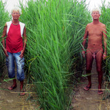 Norbert Kempe naked and dressed