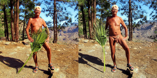 norbert kempe 493 1.jpg