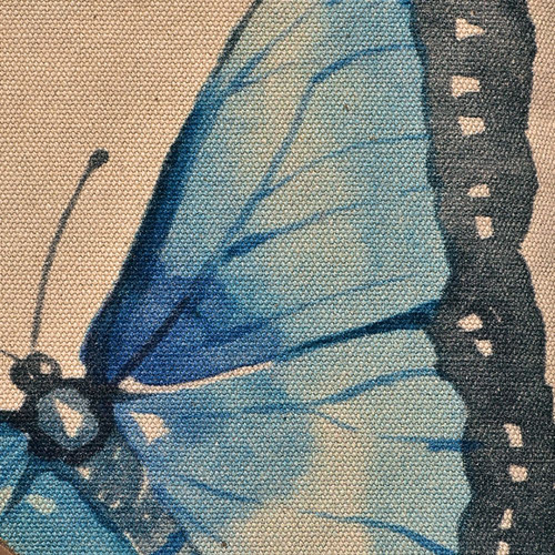 601161 3.jpg