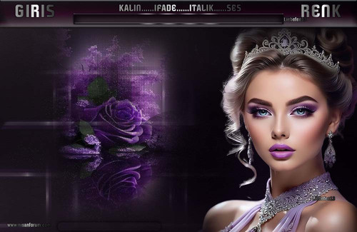 Bayan Radyo Tema 320 liebefee13