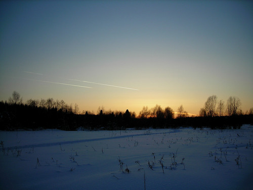 DSCN2119 1.jpg