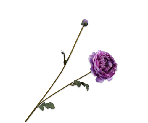 140825.png