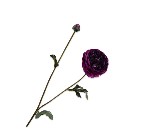140827.png