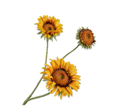 140571.png
