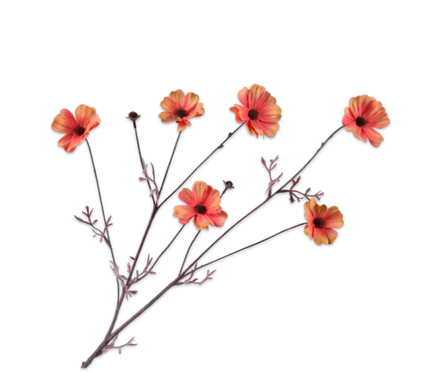 140737.png