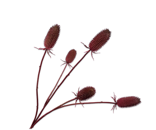 140438.png