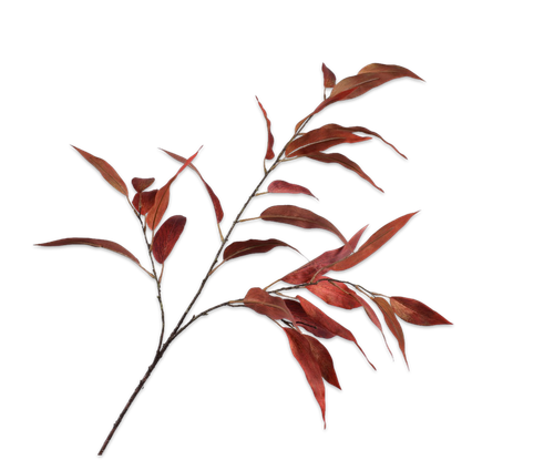141254.png