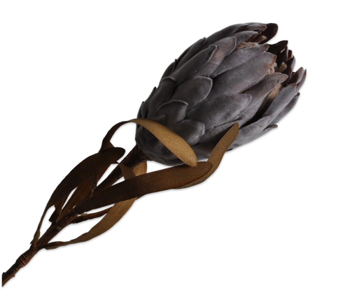 124884.png