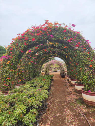 Arch 3 3.5m 838usd.jpg