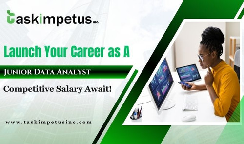 Launch Your Career as A Junior Data Analyst Competitive Salary Await.jpg