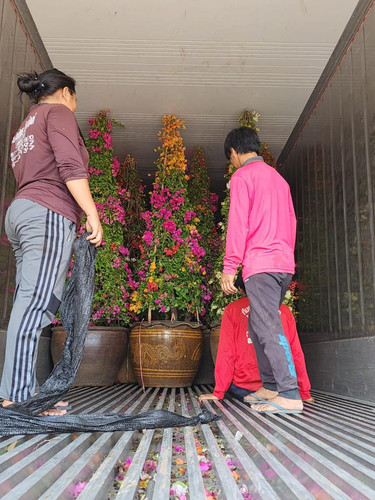 cone 4pp 106usd 180 200cm 3.jpg