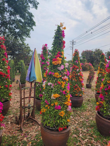 cone 4pp 106usd 180 200cm 2.jpg