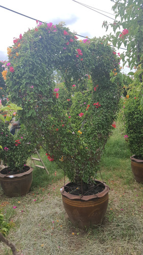 Heart 180 200cm 274usd.jpg