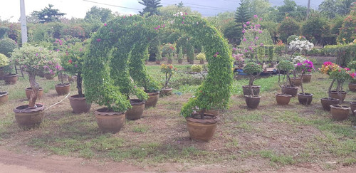 half moon 383usd for 2pcs 225 250cm.jpg