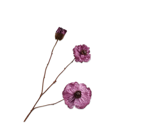 148337.png