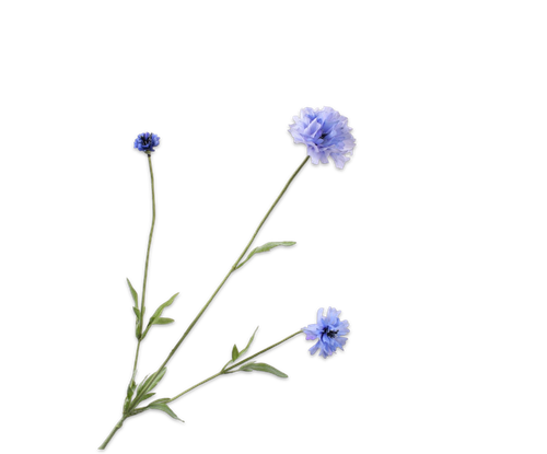 149188.png