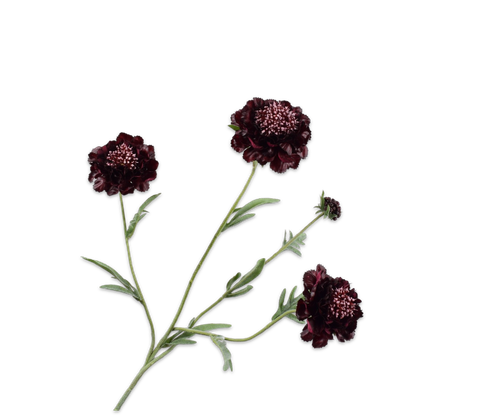 149128.png