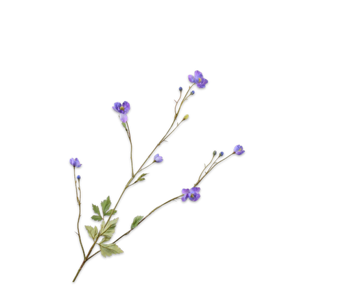 150423.png