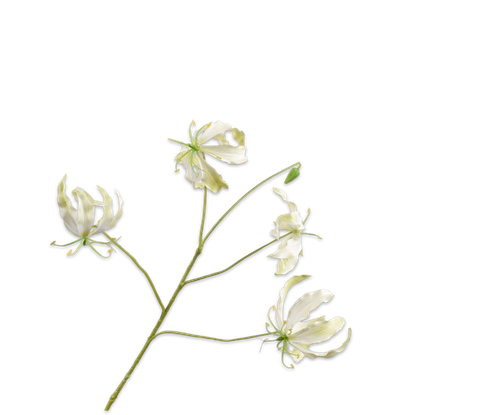 151088.png