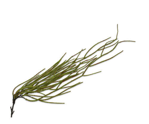 139269.png