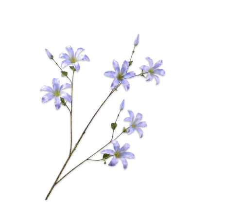 149068.png