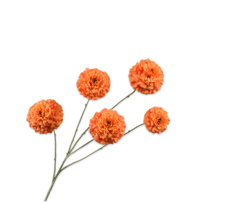 149077.png