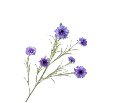 149125.png