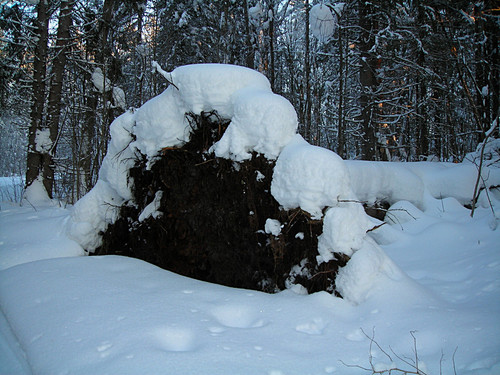 DSCN2109 1.jpg