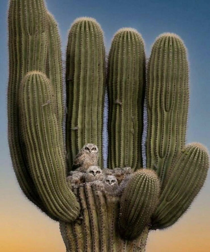 IMG 8302
