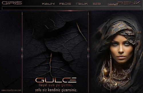 Bayan Radyo Tema 319 GULCE