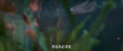 Tiger.2020.1080p.WEB DL.AAC.H264 MISS.mkv 20240217 220500.731.png