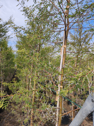 IMG 20240219 103721.jpg