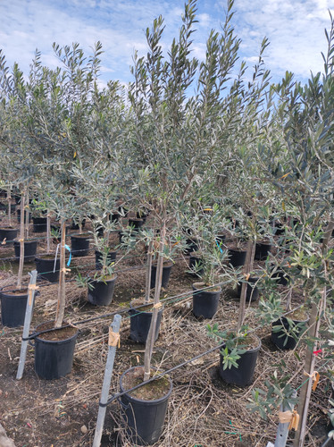 IMG 20240219 103627.jpg