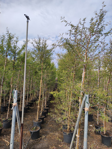 IMG 20240219 103725.jpg