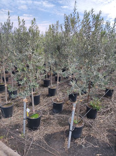 IMG 20240219 103630.jpg