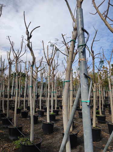 IMG 20240219 105455.jpg