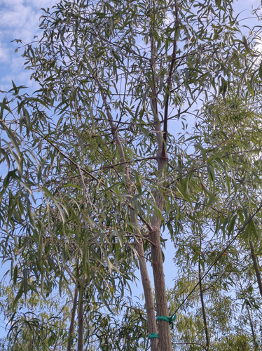 IMG 20240219 105832.jpg