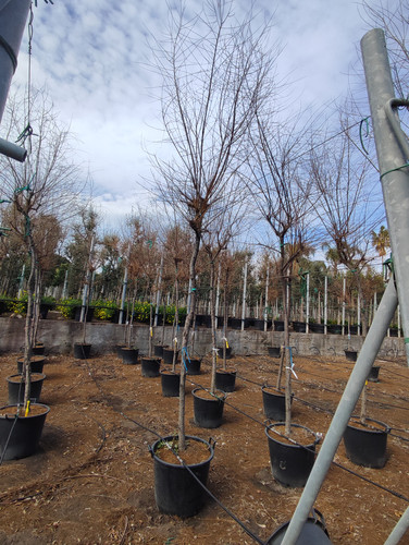 IMG 20240219 105744.jpg