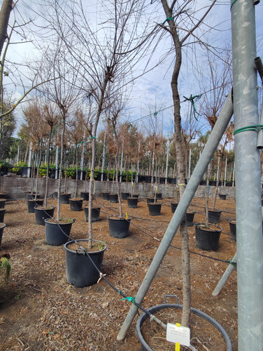 IMG 20240219 105736.jpg