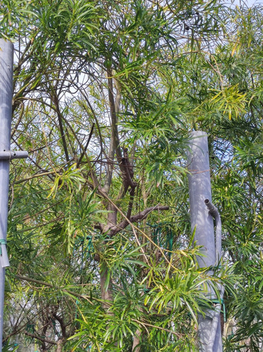 IMG 20240219 105641.jpg