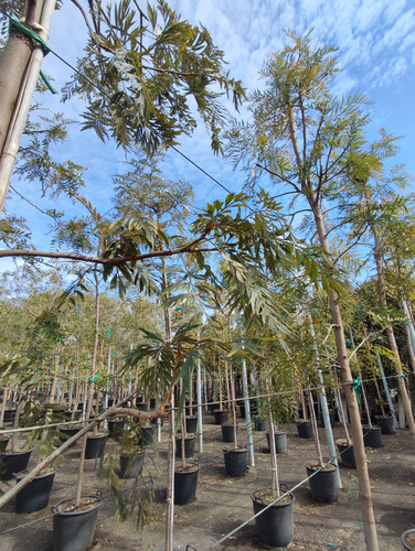 IMG 20240219 105858.jpg