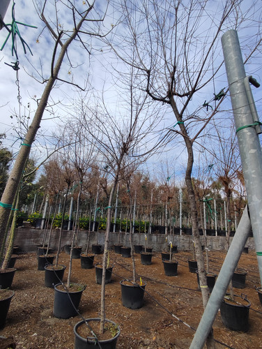 IMG 20240219 105738.jpg