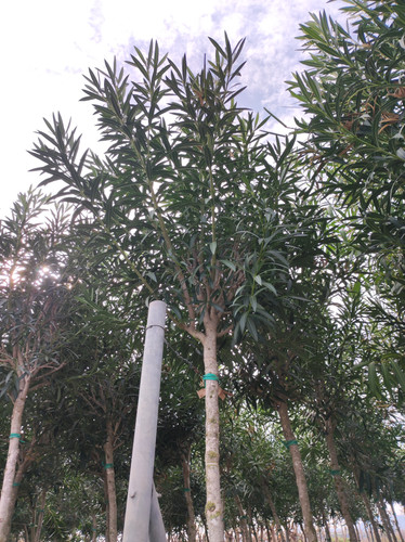 IMG 20240219 140958.jpg