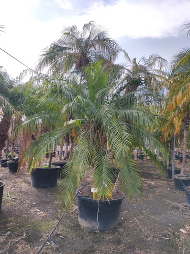 IMG 20240219 141215.jpg