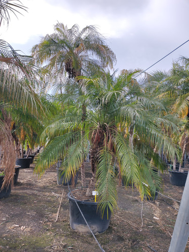 IMG 20240219 141219.jpg