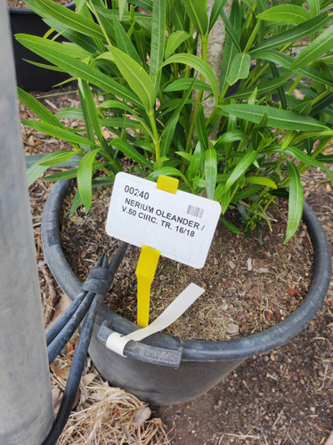 IMG 20240219 140956.jpg