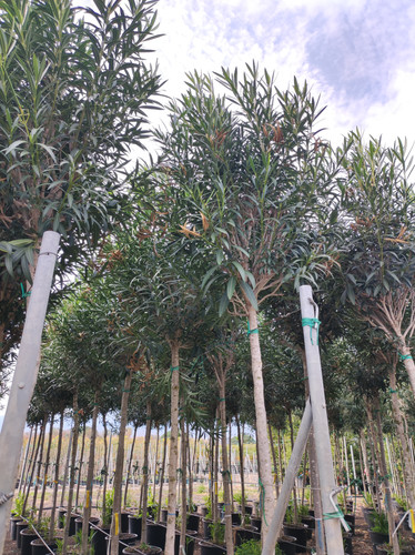 IMG 20240219 140938.jpg