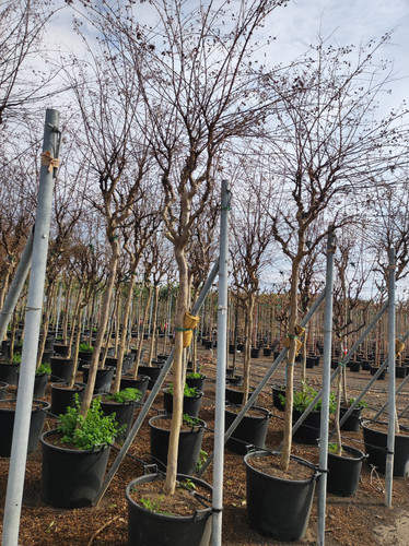 IMG 20240219 141324.jpg